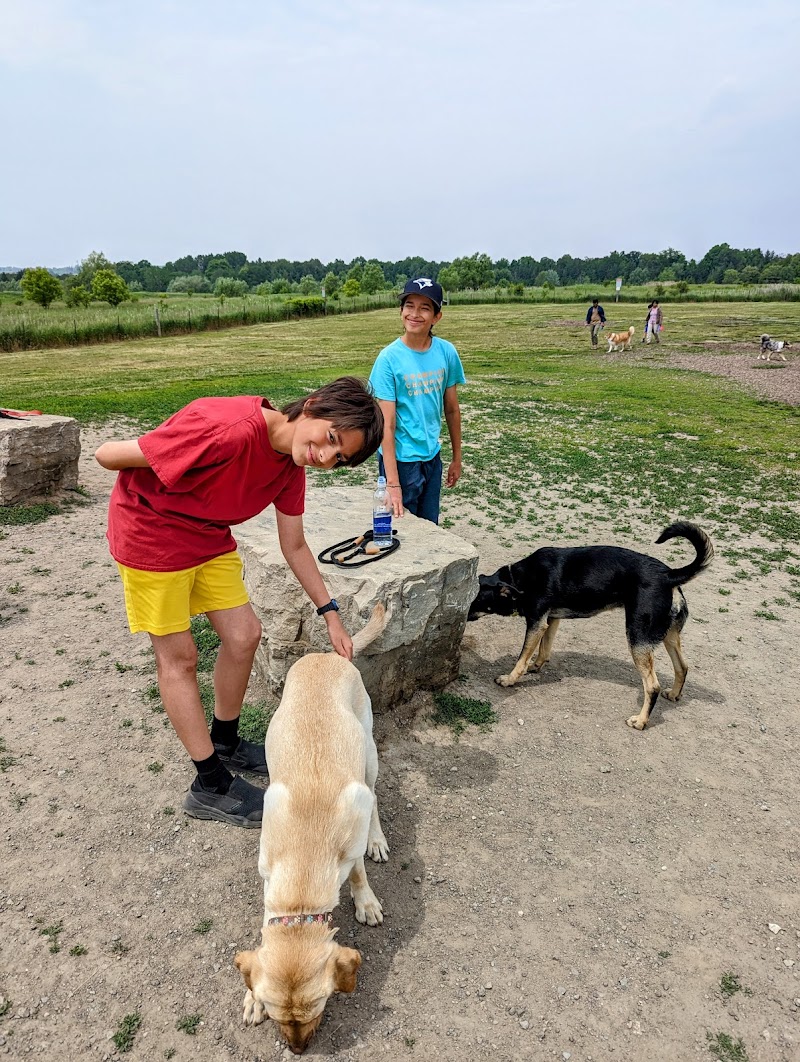 North Whitby Off-Leash Dog Park dog park in Whitby, Ontario