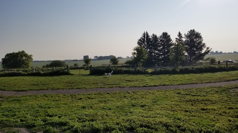 North Whitby Off-Leash Dog Park dog park in Whitby, Ontario