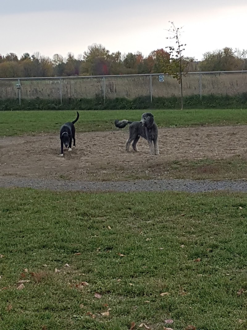 Parc canin Dog Park dog park in Russell, Ontario