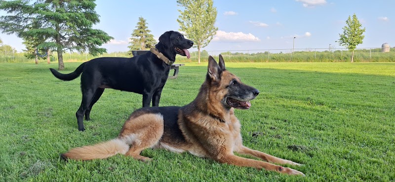 Parc canin Dog Park dog park in Russell, Ontario