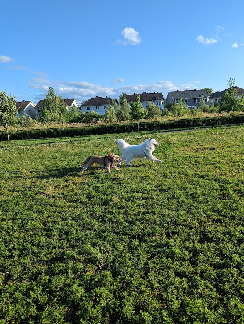 Coyote Trail Dog Park dog park in Ottawa, Ontario