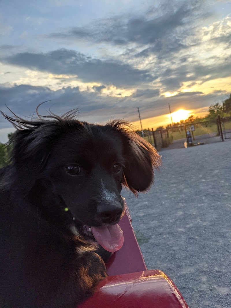 Coyote Trail Dog Park dog park in Ottawa, Ontario