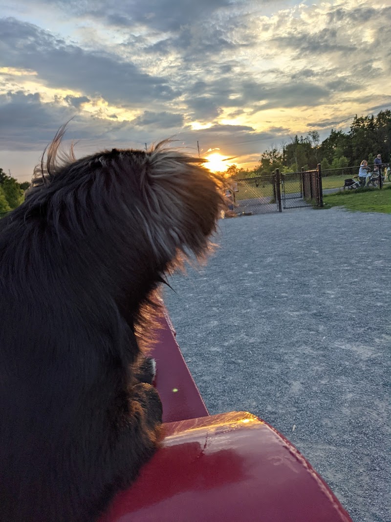 Coyote Trail Dog Park dog park in Ottawa, Ontario