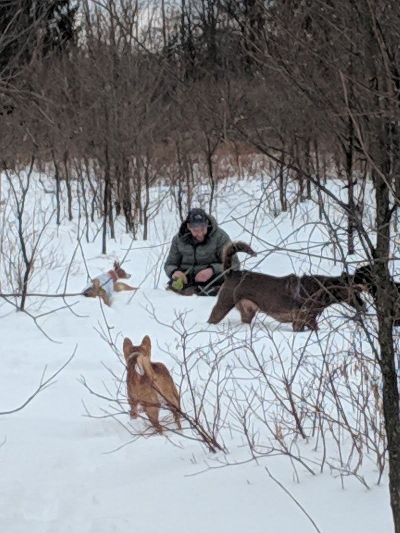 Rockland Dog Park dog park in Rockland, Ontario