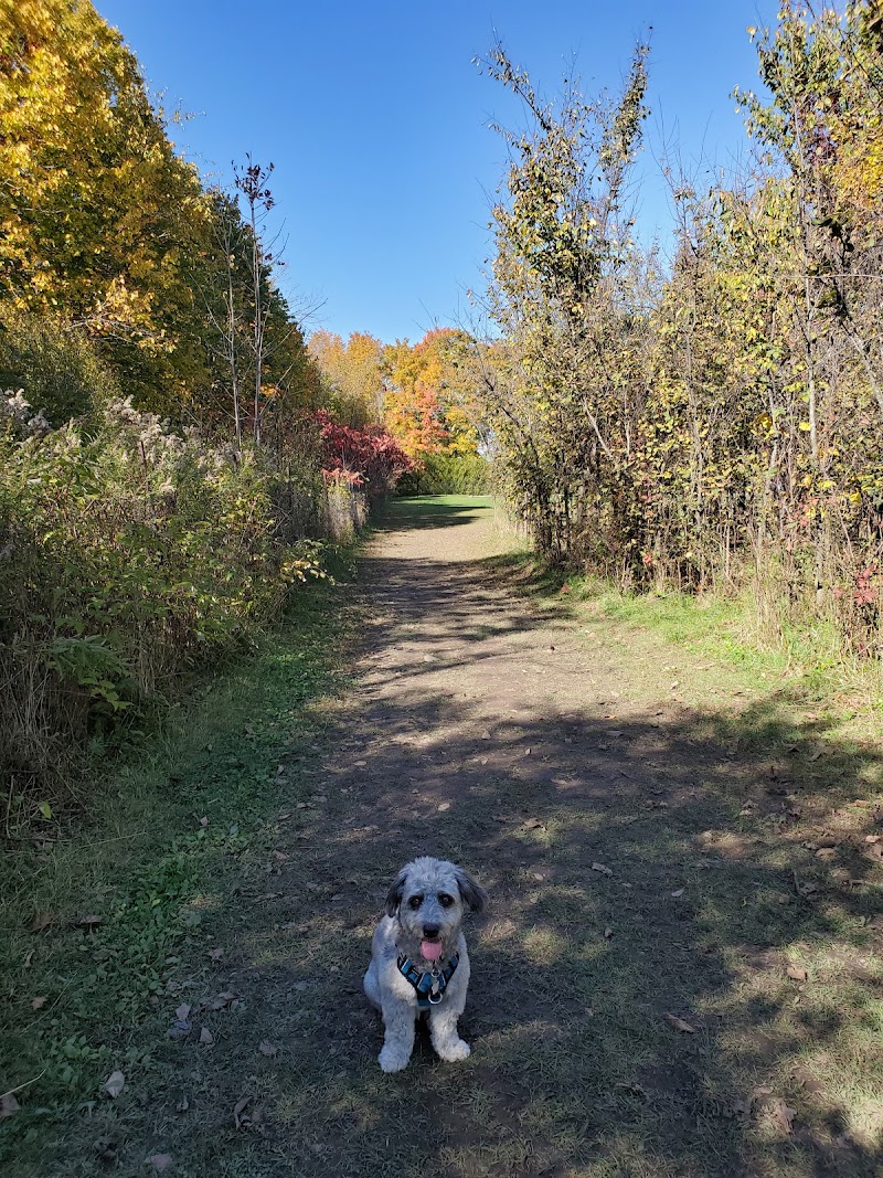 Rockland Dog Park dog park in Rockland, Ontario