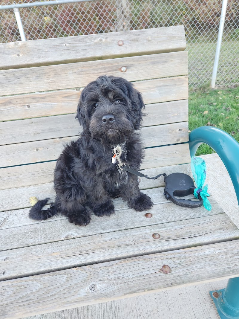 Niagara Falls Bark Park dog park in Niagara Falls, Ontario