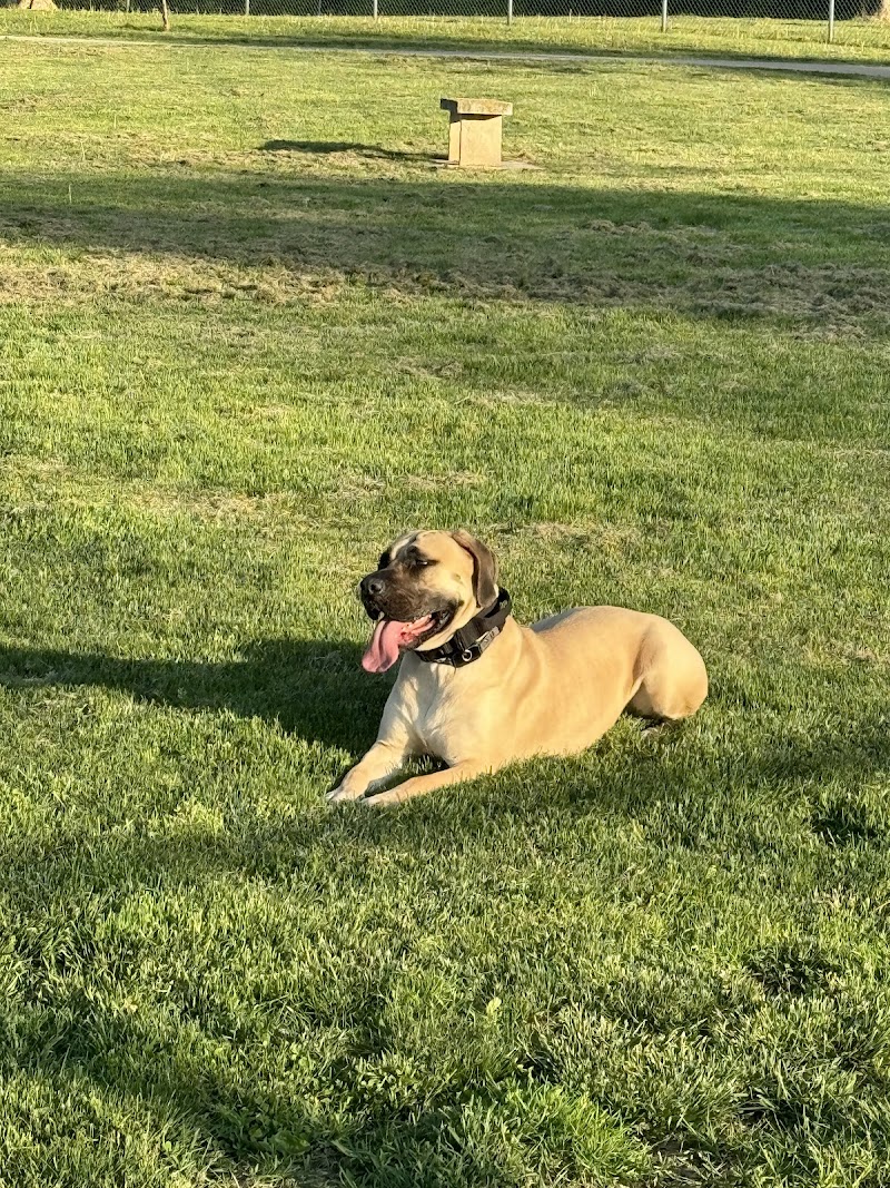 Niagara Falls Bark Park dog park in Niagara Falls, Ontario