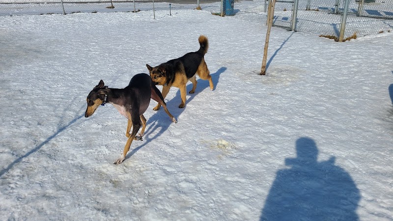 Niagara Falls Bark Park dog park in Niagara Falls, Ontario
