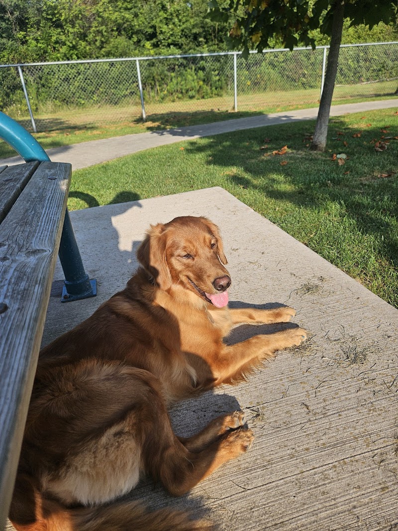 Niagara Falls Bark Park dog park in Niagara Falls, Ontario