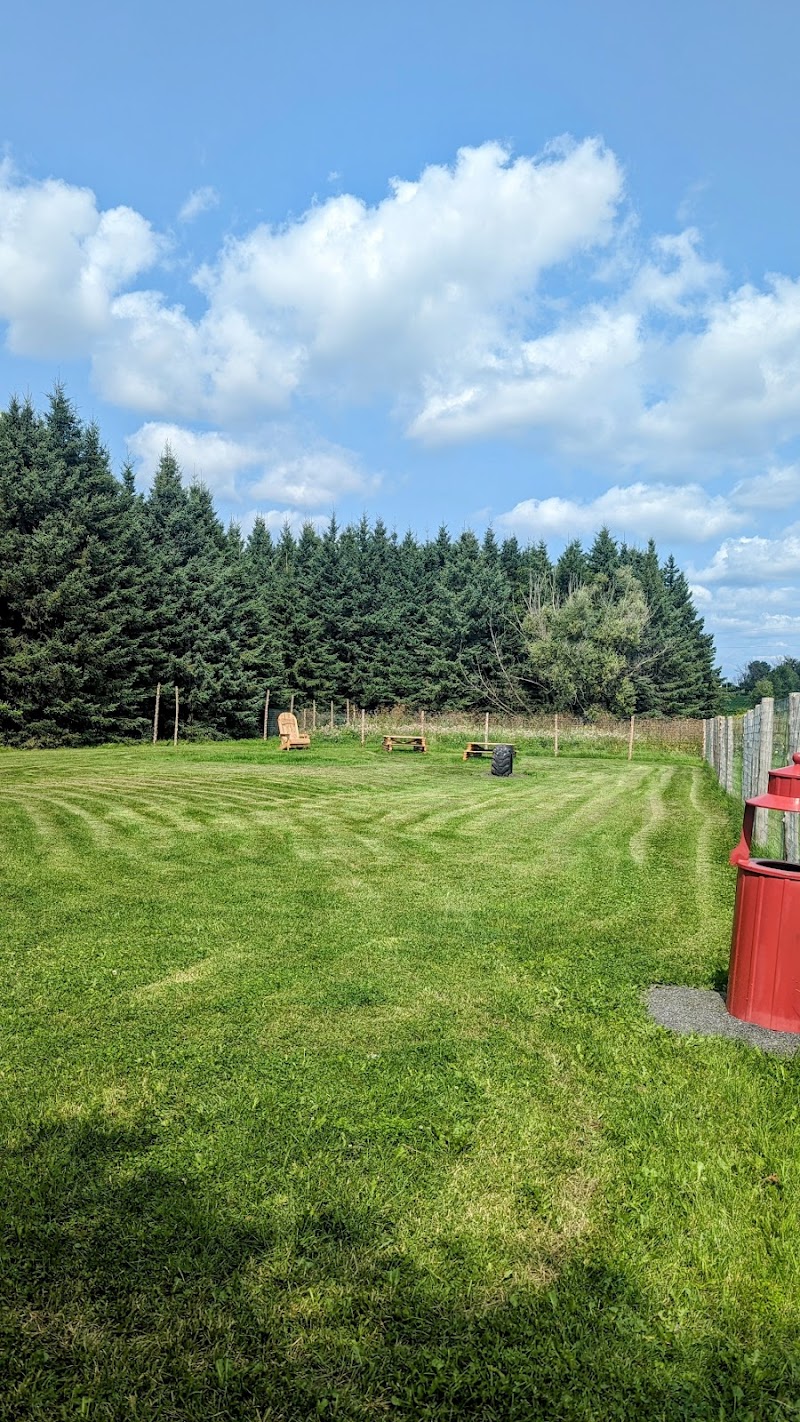 Free To Fetch dog park in Vankleek Hill, Ontario