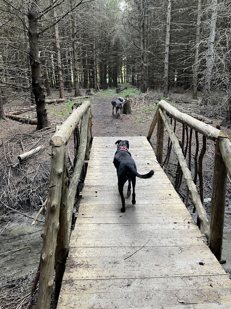Free To Fetch dog park in Vankleek Hill, Ontario