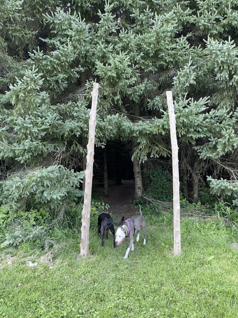 Free To Fetch dog park in Vankleek Hill, Ontario