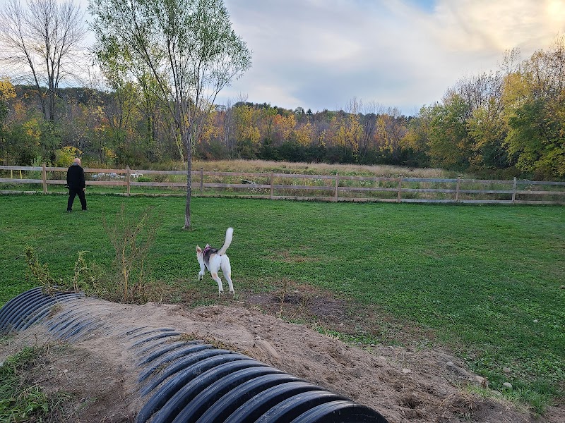 Parc Canin dog park in Hudson, Quebec