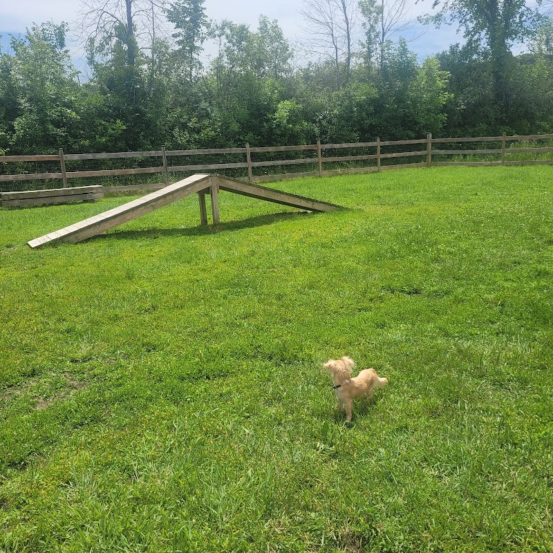 Parc Canin dog park in Hudson, Quebec