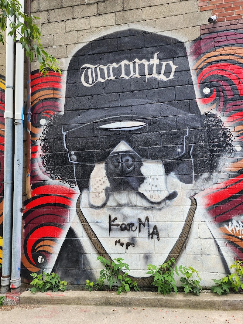 Dog Park dog park in Toronto, Ontario