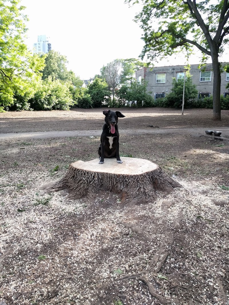 Dog Park dog park in Toronto, Ontario