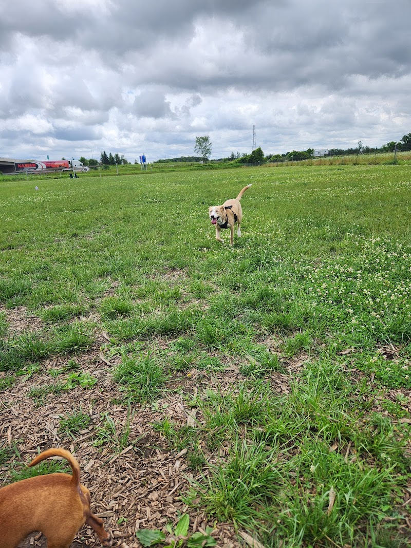 Country Canines Play Park - London dog park in London, Ontario