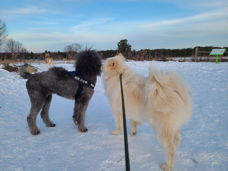 Bendor and Graves Tract Dog Park dog park in Cedar Valley, Ontario