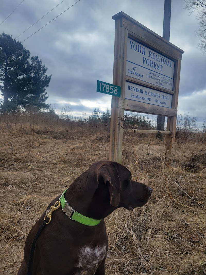 Bendor and Graves Tract Dog Park dog park in Cedar Valley, Ontario