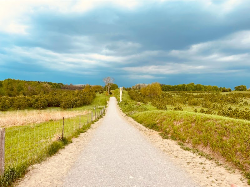 Bendor and Graves Tract Dog Park dog park in Cedar Valley, Ontario