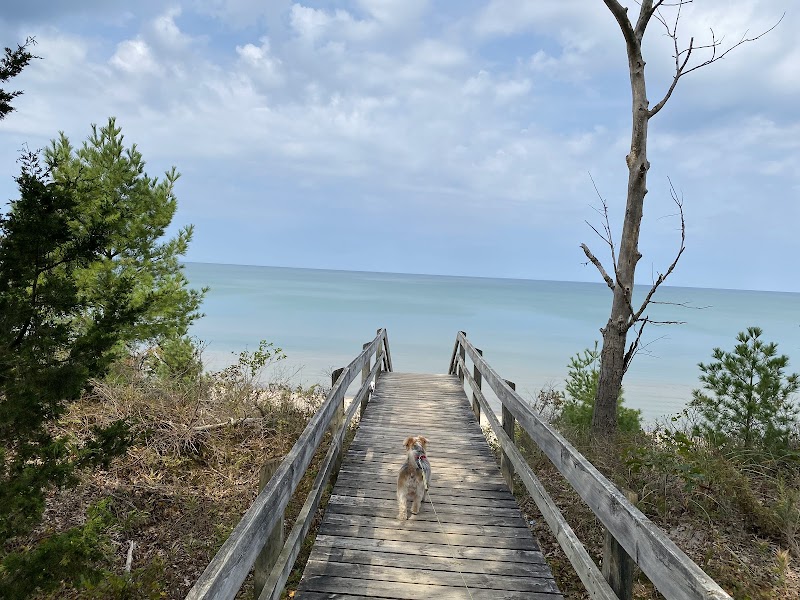 Pinery Provincial Park Dog Beach Area 1 dog park in Lambton Shores, Ontario