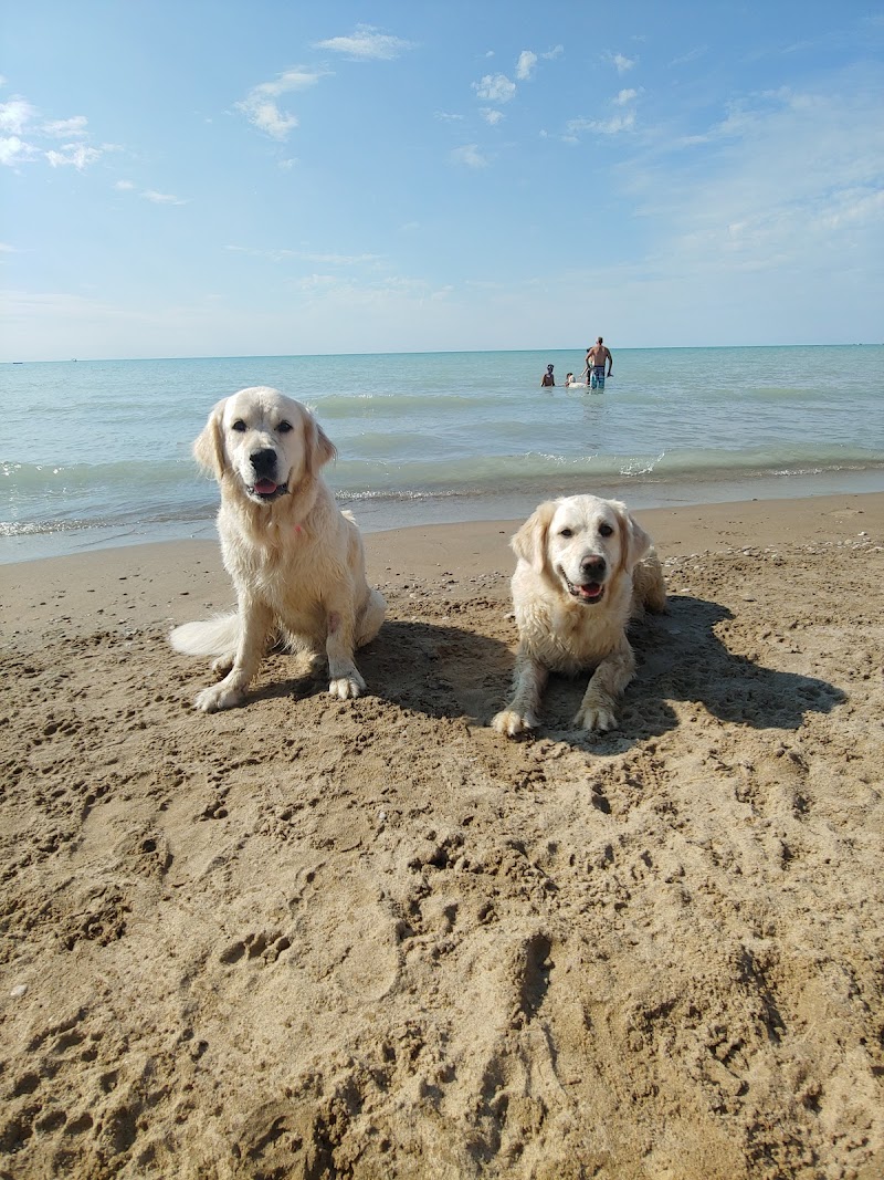 Pinery Provincial Park Dog Beach Area 1 dog park in Lambton Shores, Ontario