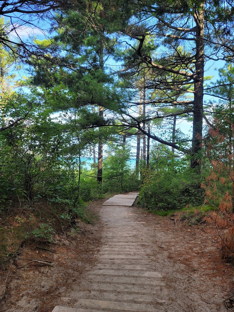 Pinery Provincial Park Dog Beach Area 1 dog park in Lambton Shores, Ontario