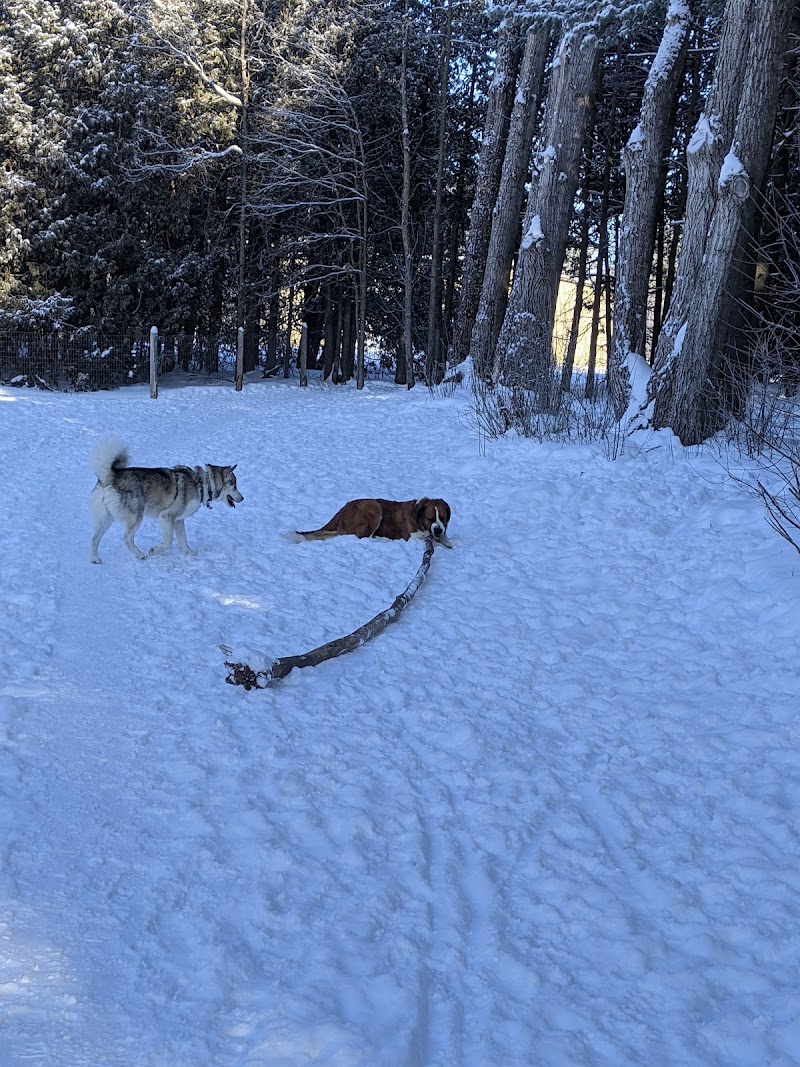 Ferguson Forest Dog Park dog park in Kemptville, Ontario