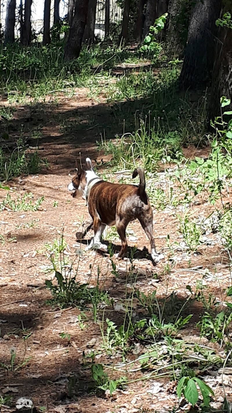 Ferguson Forest Dog Park dog park in Kemptville, Ontario