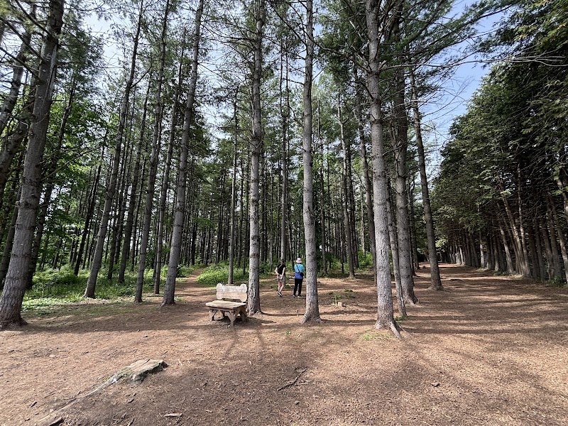 Ferguson Forest Dog Park dog park in Kemptville, Ontario