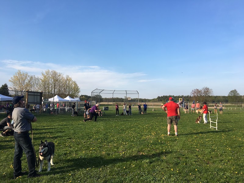 CBO Park dog park in Tiny, Ontario
