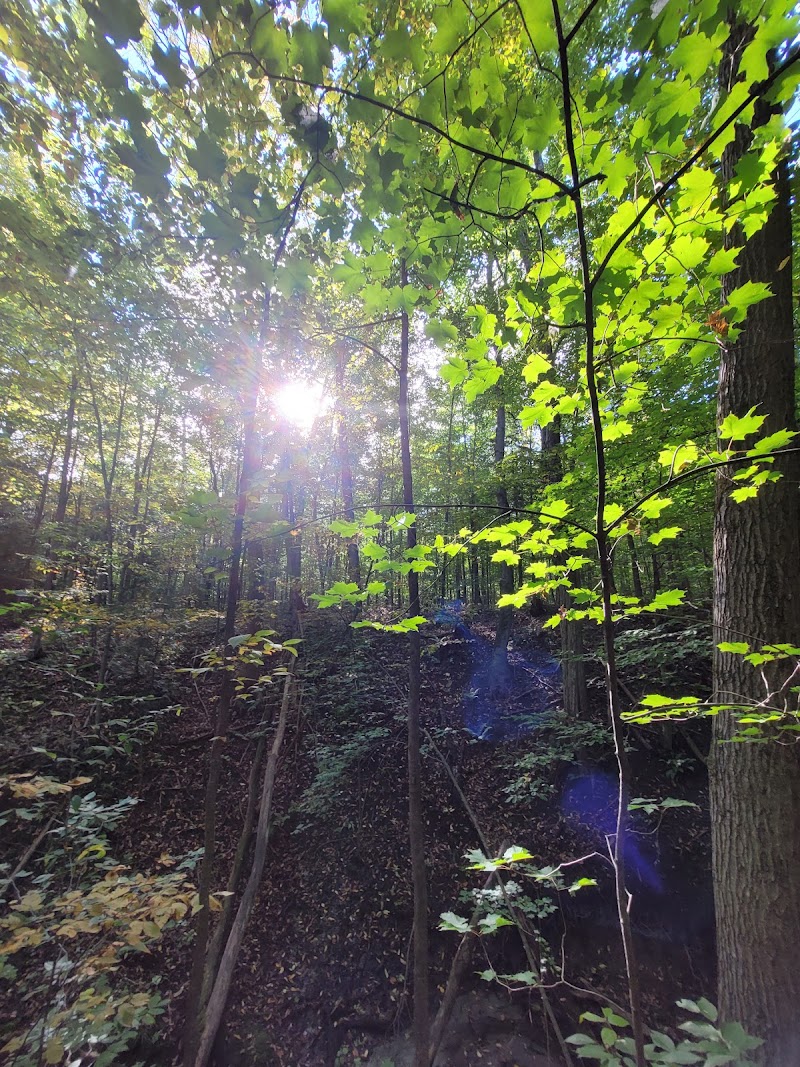 CBO Park dog park in Tiny, Ontario