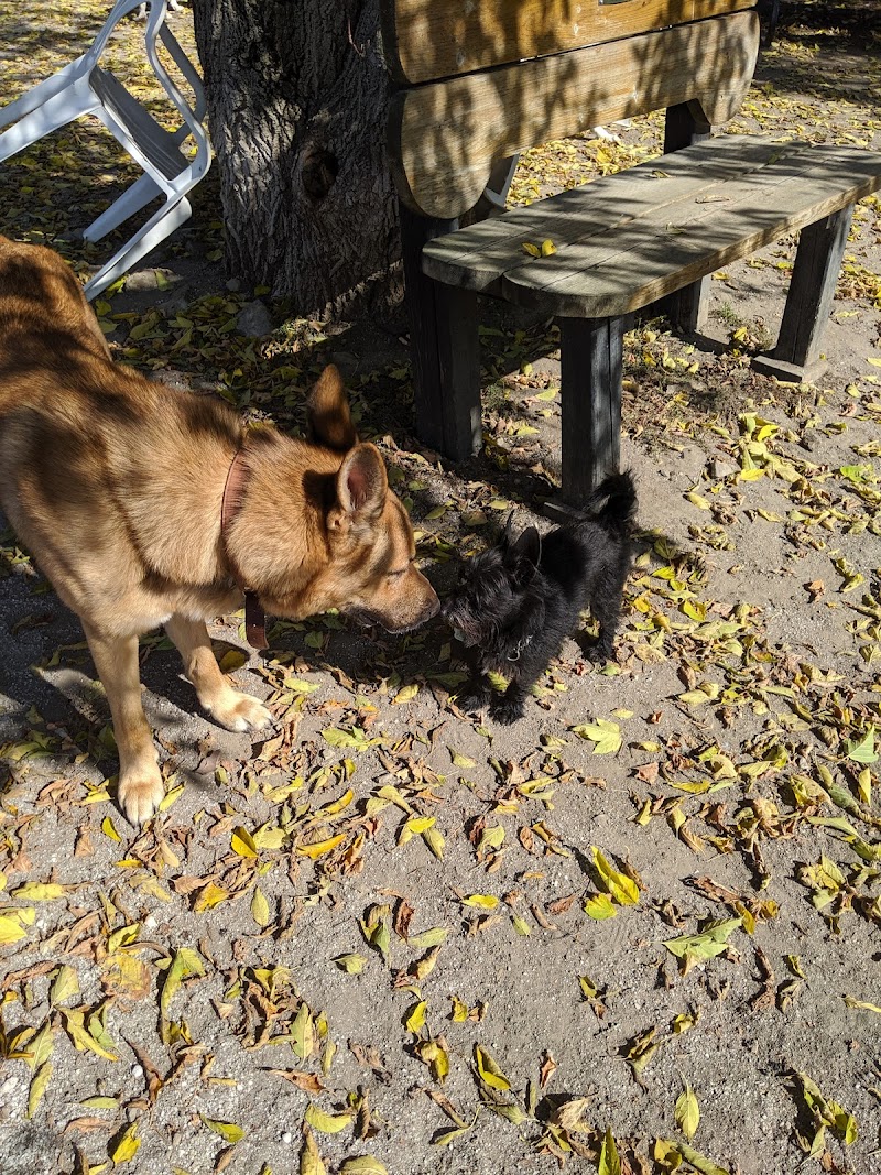 Gleeson Park dog park in Smiths Falls, Ontario