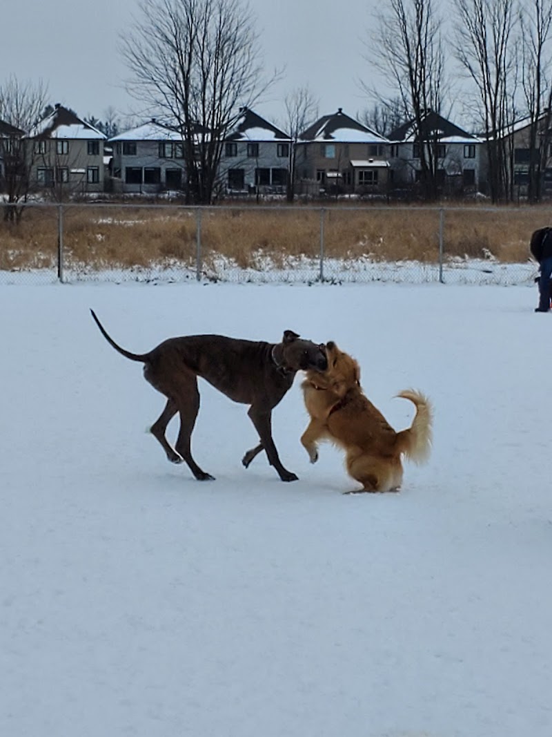 Riverside South Dog Park dog park in Gloucester, Ontario