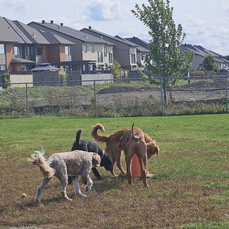 Riverside South Dog Park dog park in Gloucester, Ontario