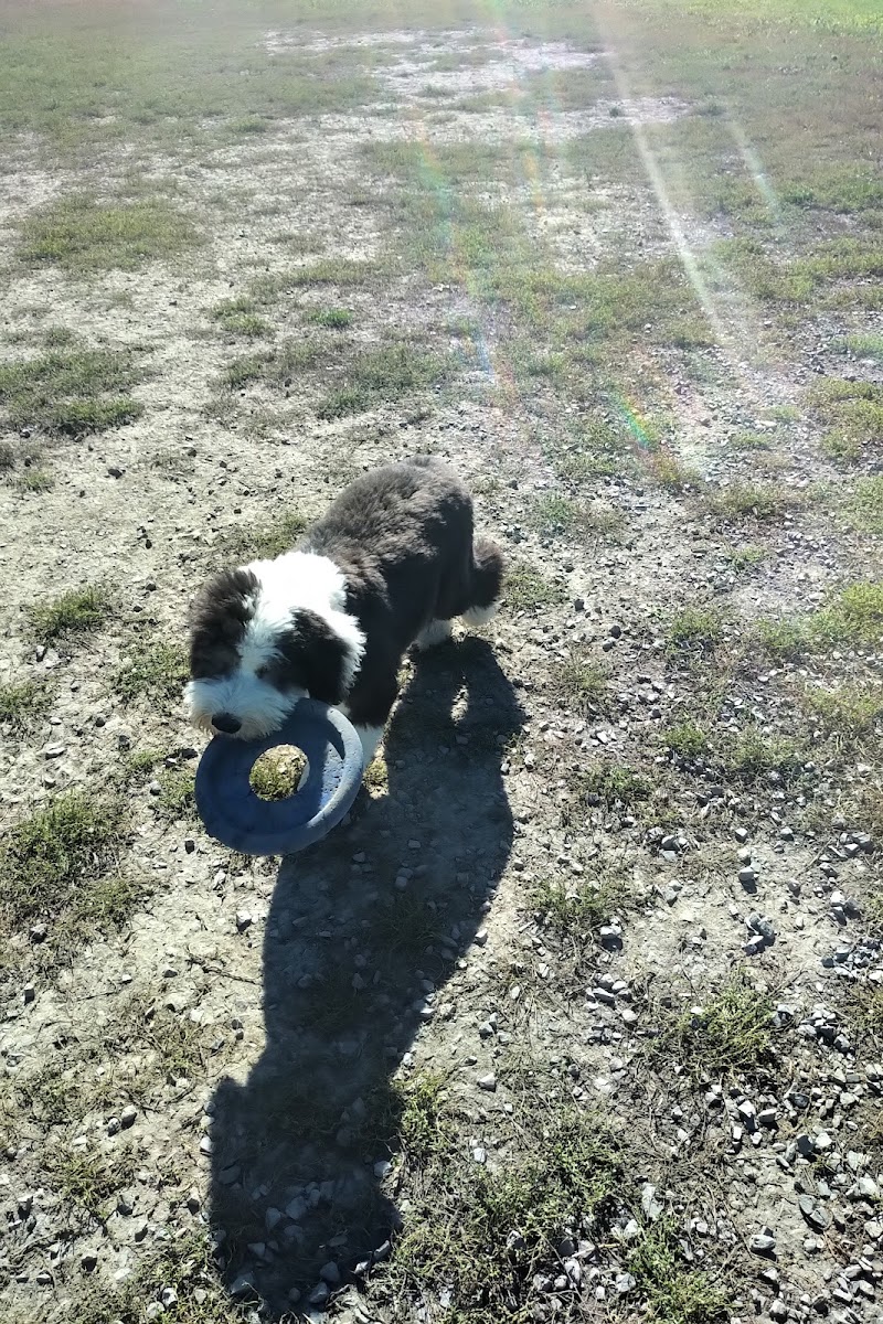 Riverside South Dog Park dog park in Gloucester, Ontario