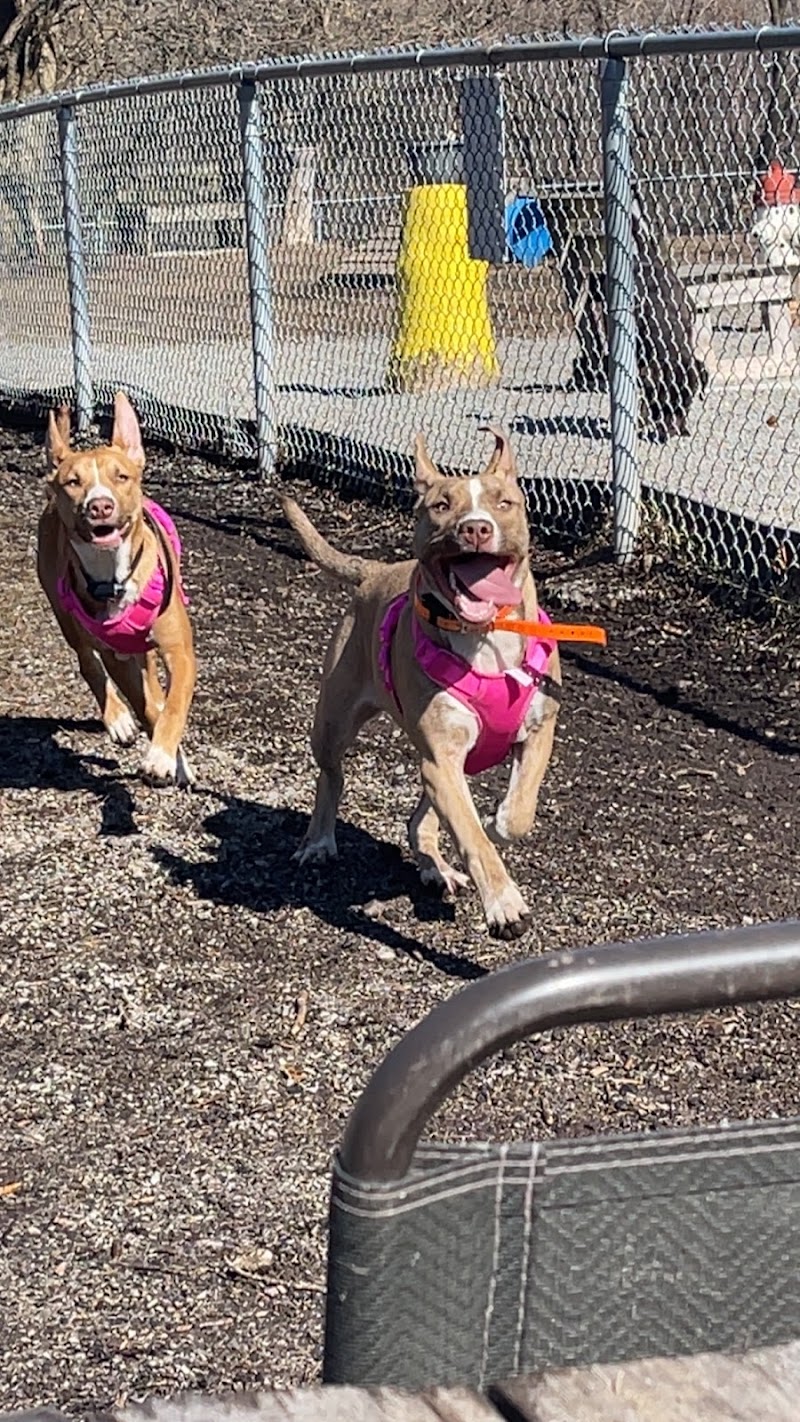 Brockville Dog Park dog park in Brockville, Ontario