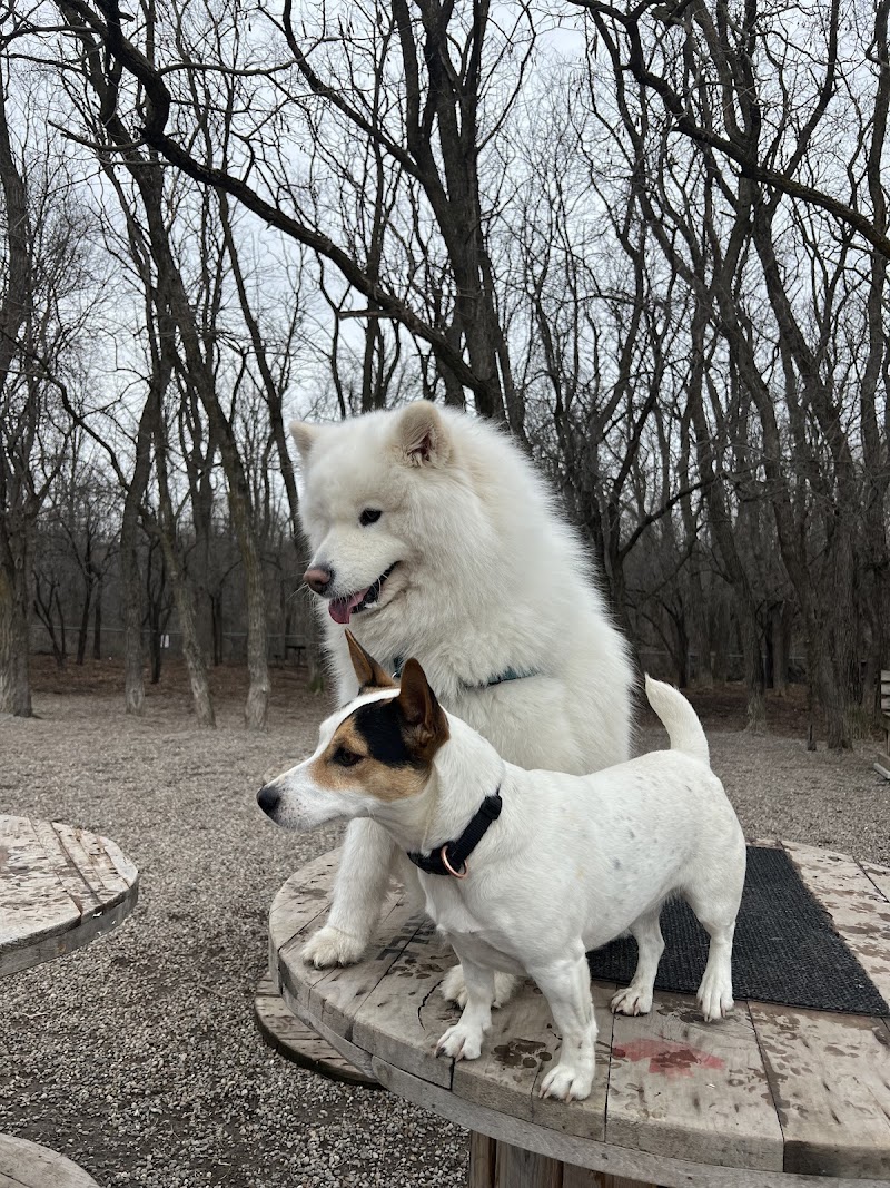 Brockville Dog Park dog park in Brockville, Ontario