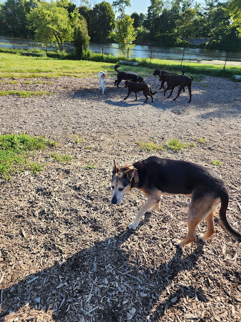 Dog Park dog park in Gananoque, Ontario