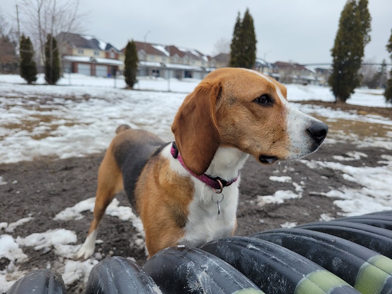 Dog Park dog park in Gananoque, Ontario