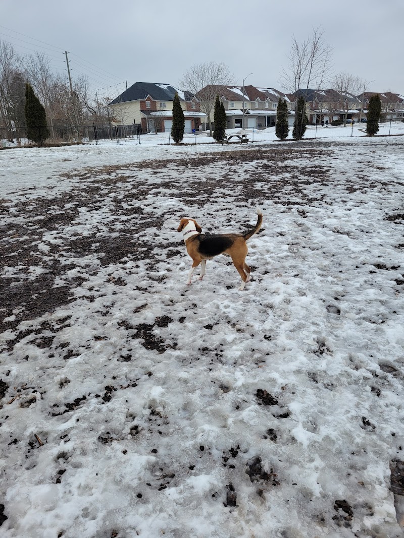 Dog Park dog park in Gananoque, Ontario