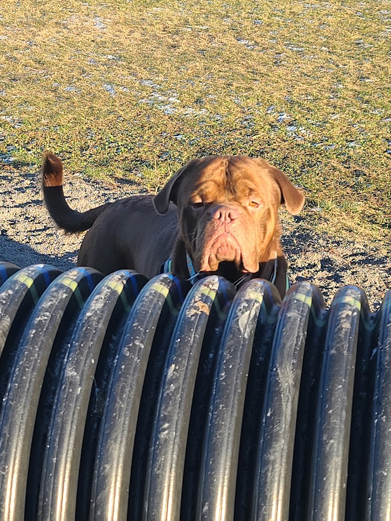 Dog Park dog park in Gananoque, Ontario