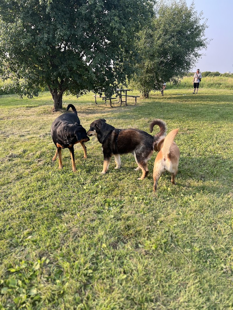 Caledon Leash-Free Dog Park dog park in Bolton, Ontario