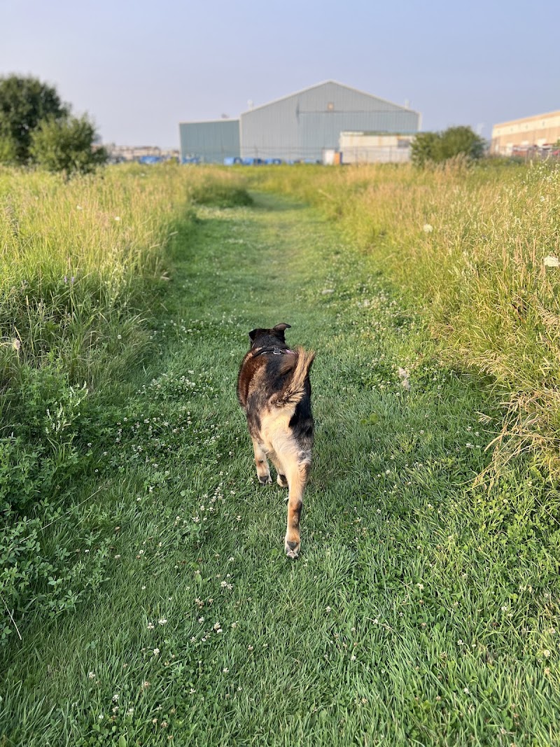 Caledon Leash-Free Dog Park dog park in Bolton, Ontario