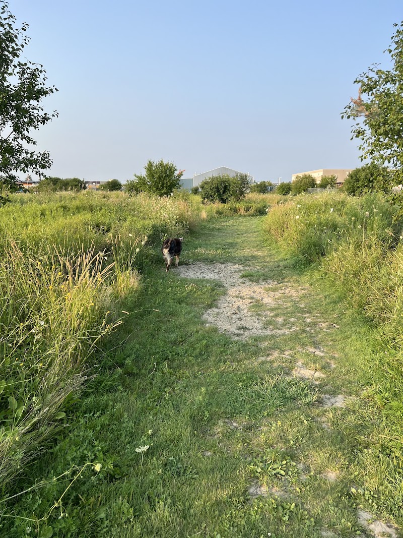 Caledon Leash-Free Dog Park dog park in Bolton, Ontario