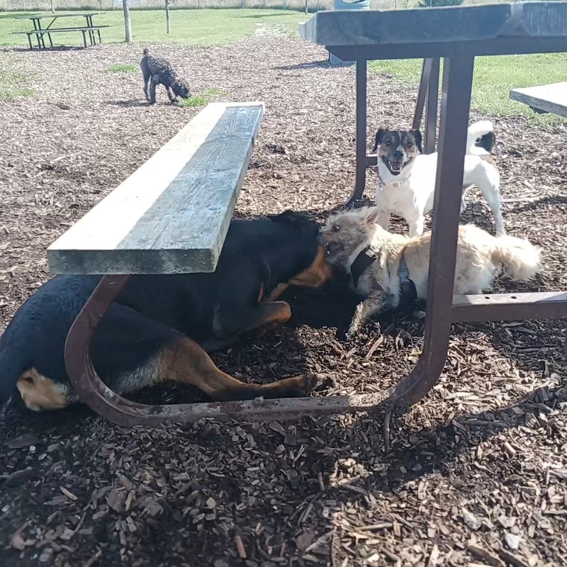 Caledon Leash-Free Dog Park dog park in Bolton, Ontario