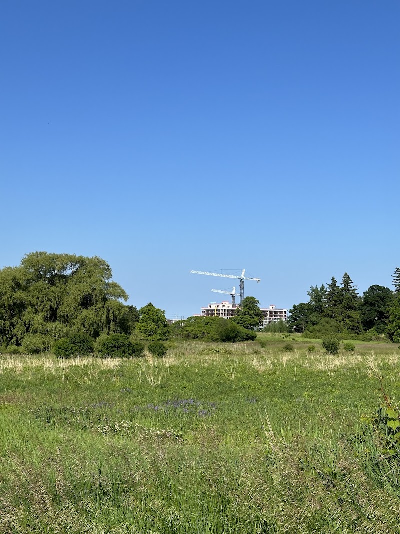 Bronte Creek Leash-free Dog Park dog park in Burlington, Ontario