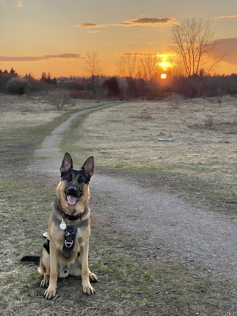 Bronte Creek Leash-free Dog Park dog park in Burlington, Ontario