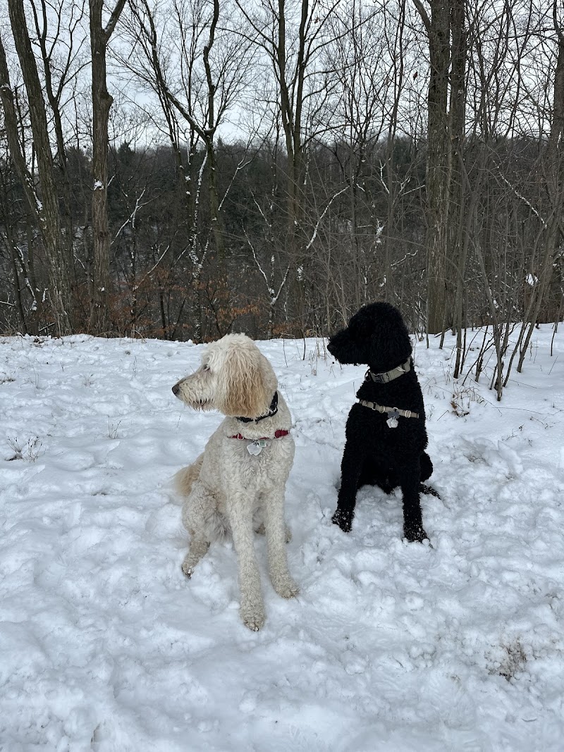 Bronte Creek Leash-free Dog Park dog park in Burlington, Ontario