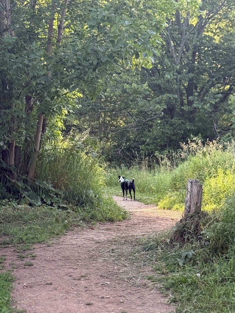 Bronte Creek Leash-free Dog Park dog park in Burlington, Ontario